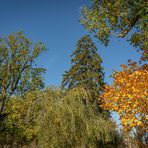 Eutiner Schloss-Garten IV  -  Holsteinische Schweiz