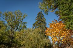 Eutiner Schloss-Garten IV  -  Holsteinische Schweiz