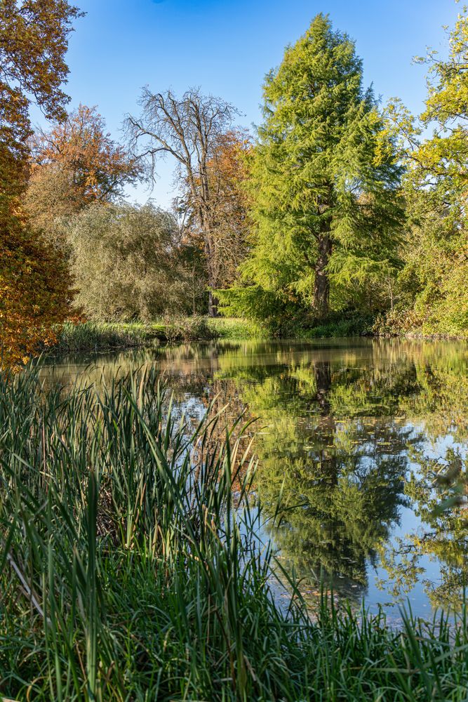 Eutiner SchlossGarten XIV Holsteinische Schweiz Foto & Bild wasser