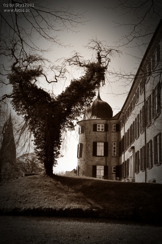 Eutiner Schloss mit Baum...