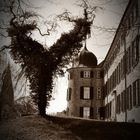 Eutiner Schloss mit Baum...