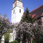 Ev. Kirche Bad Schmiedeberg