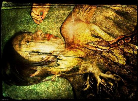 Eva - Once upon a Time Collection Part 1