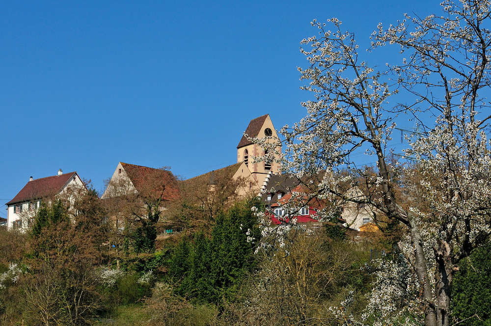 Evangelische Kirche v. Rötteln - ein kleiner Weiler von Lörrach - Nr.2