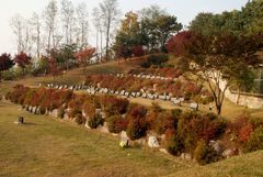 Evangelischer Friedhof in Paju (Korea)