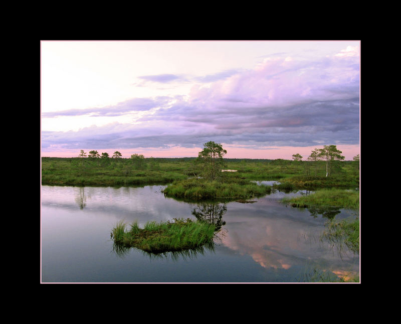 Eve in the Bog