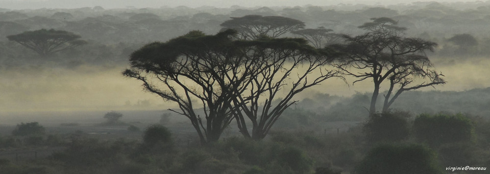 Eveil de brume...