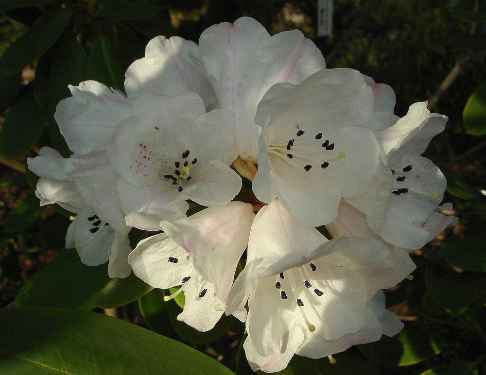 èveille de la nature