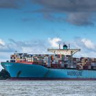 EVELYN MAERSK / 397m in Blau