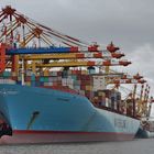 Evelyn Maersk in Bremerhaven