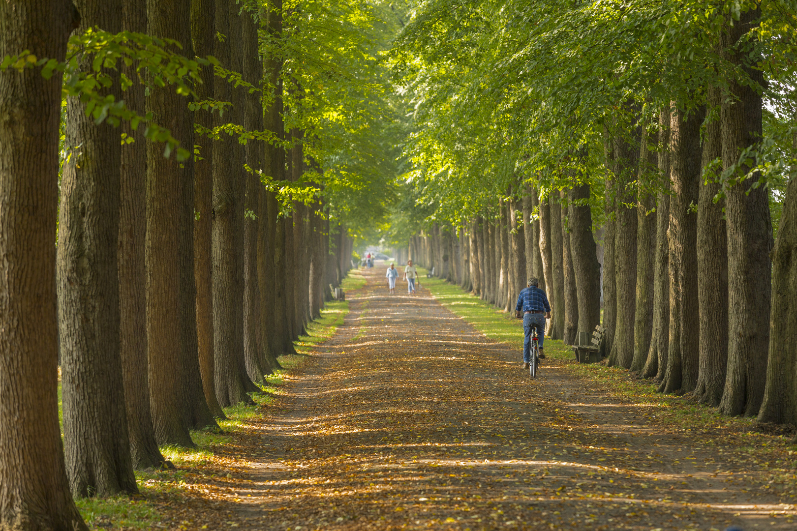 Evenburg-Allee