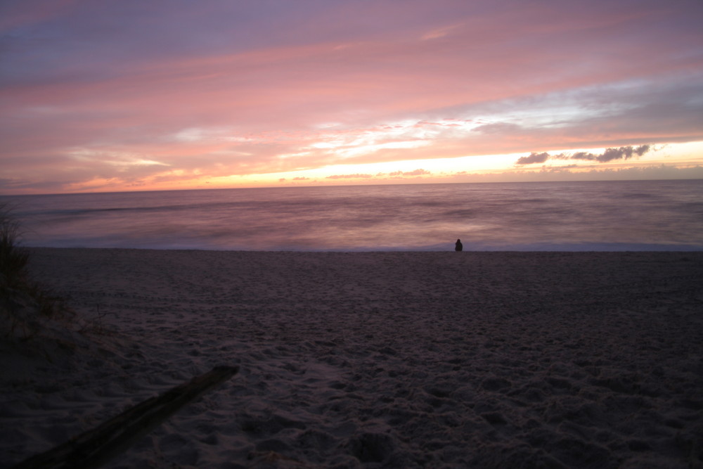 EVENING von holmstroem surf 