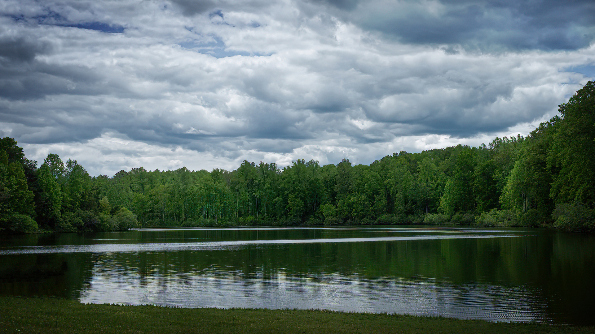 Evening | Albemarle County, Virginia