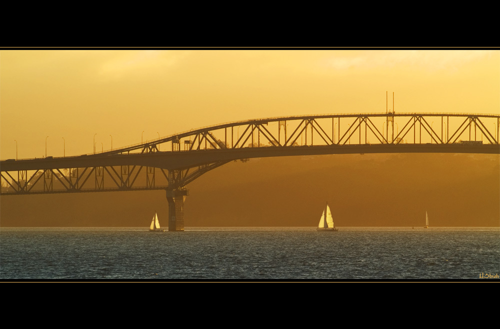 Evening at Auckland