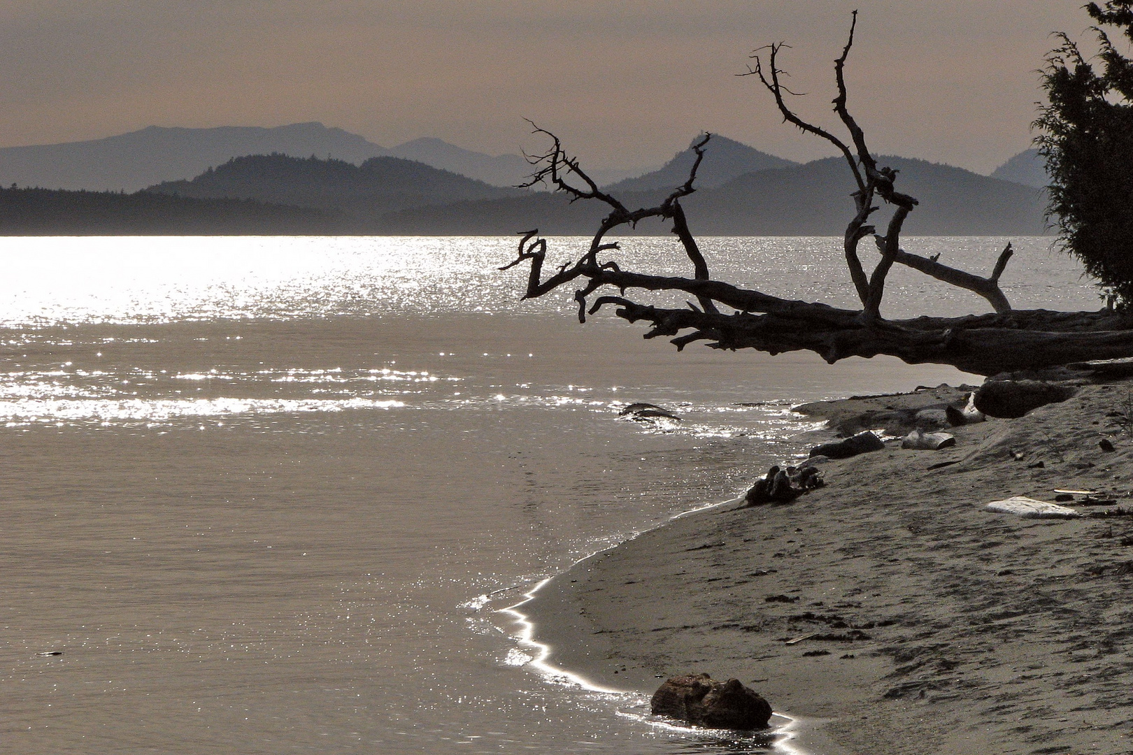 Evening at Cabbage Island