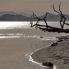 Evening at Cabbage Island