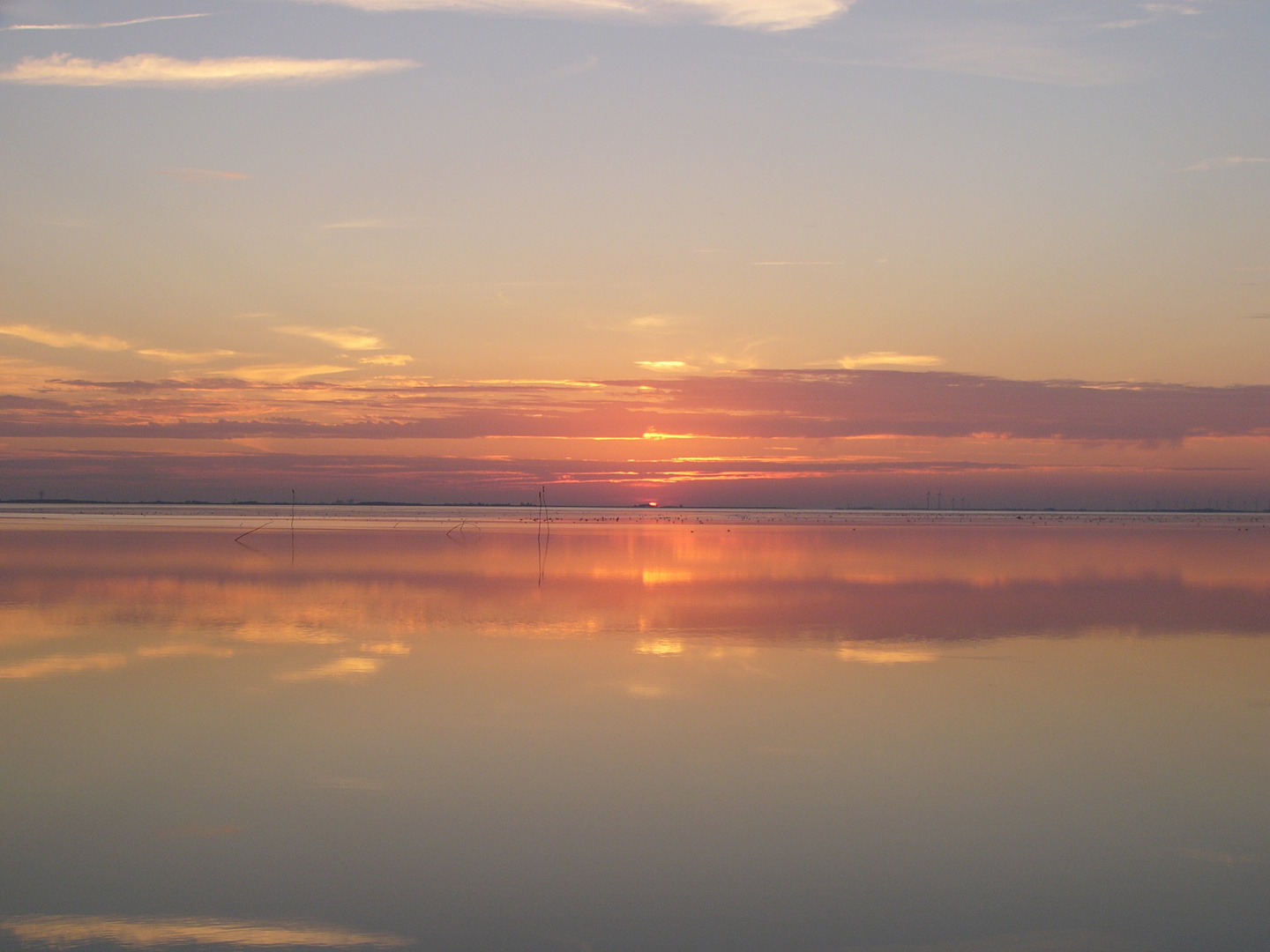 evening at dollard bay