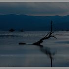 Evening at Kerkini Lake_6247ab