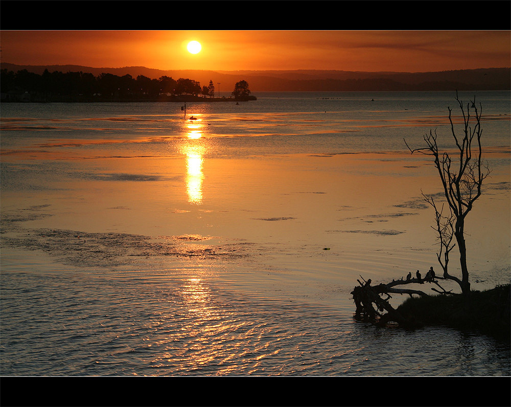 Evening at Lake Tuggerah