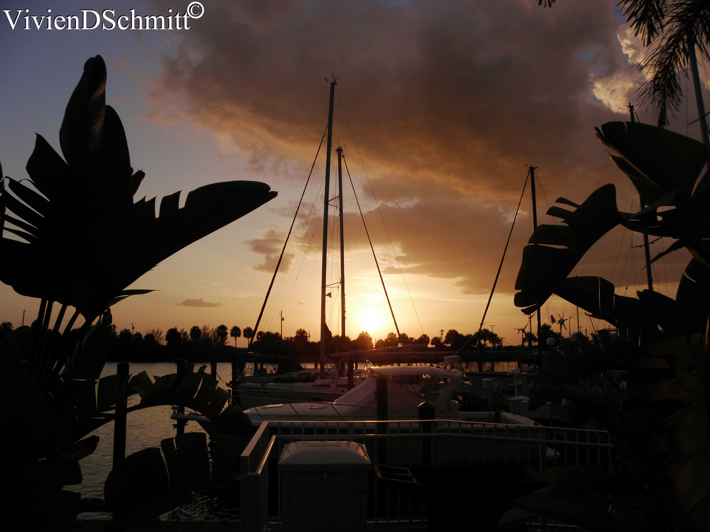 Evening at Little Harbor, Florida, USA