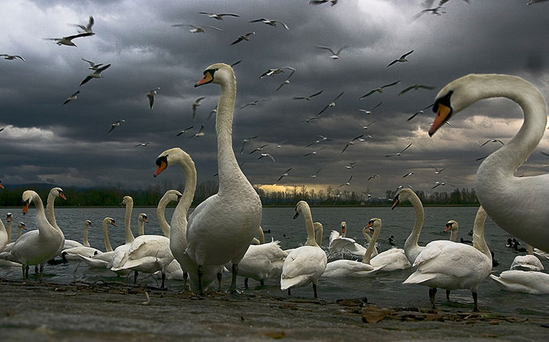 evening at river