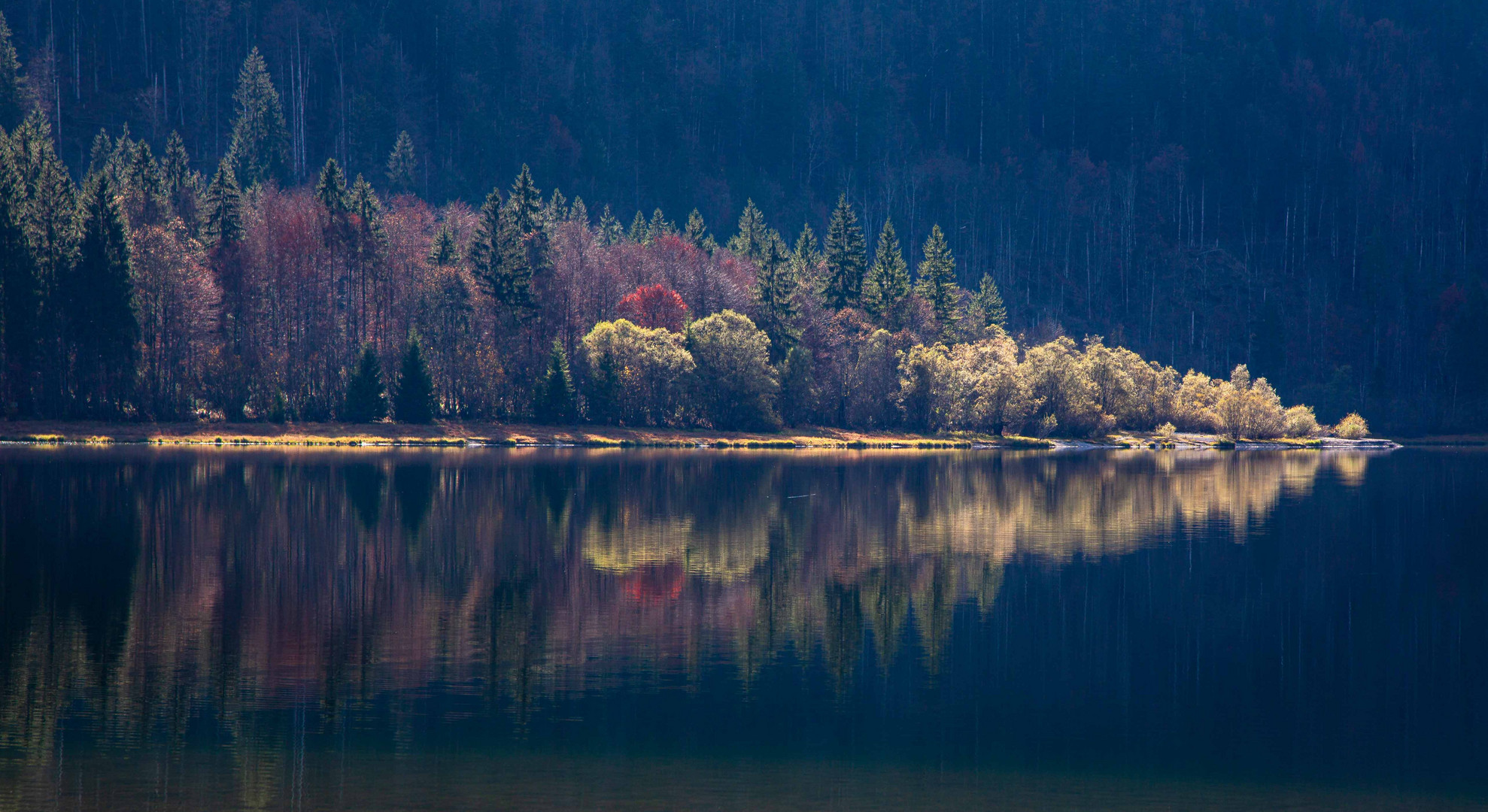 Evening at the lake