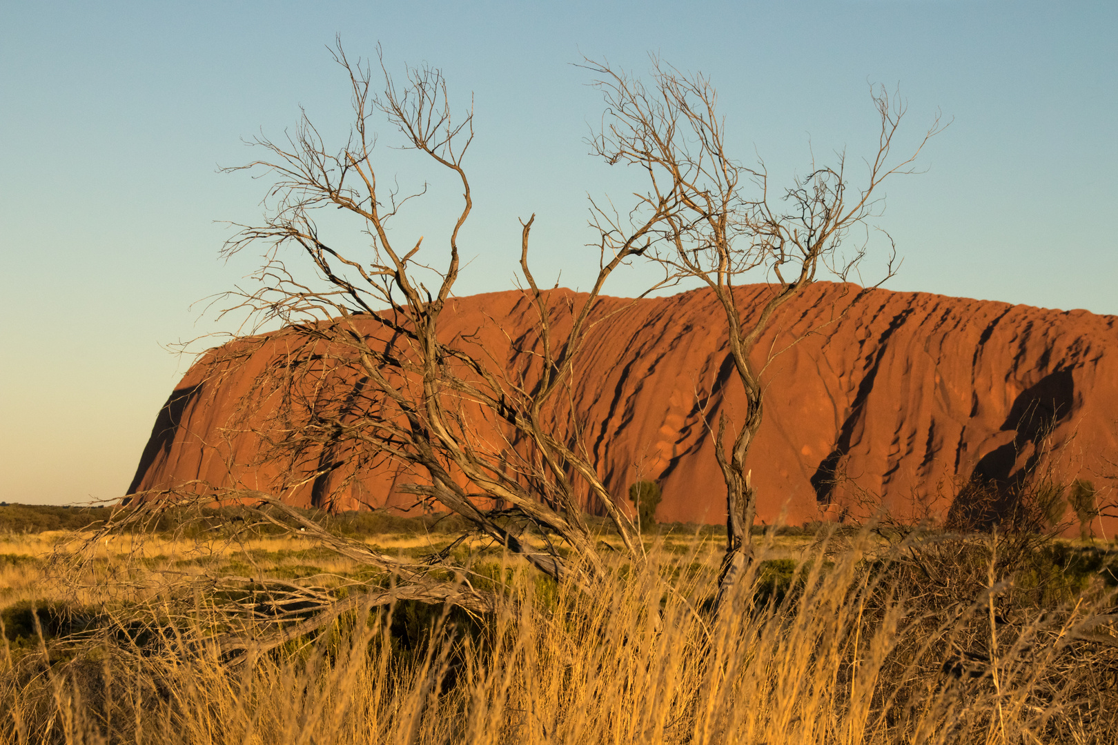 Evening At Uluru