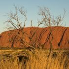 Evening At Uluru