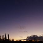 Evening atmosphere - image 6