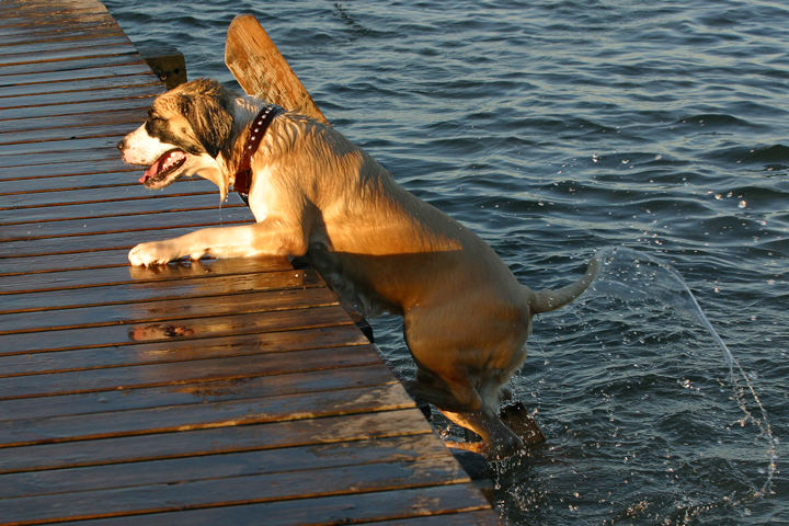 Evening Bathing