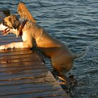 Evening Bathing