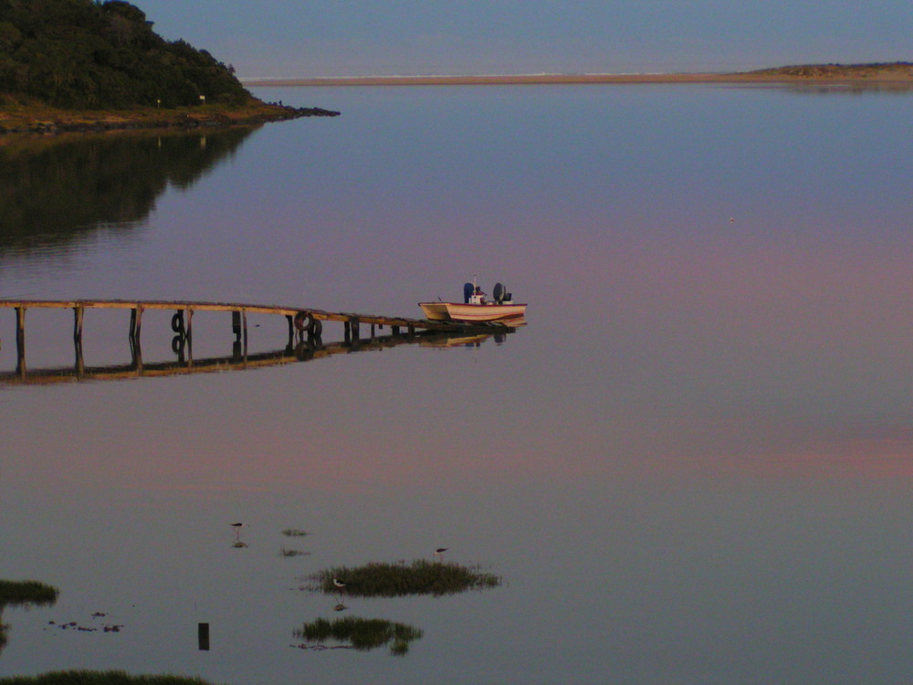 evening boat tour