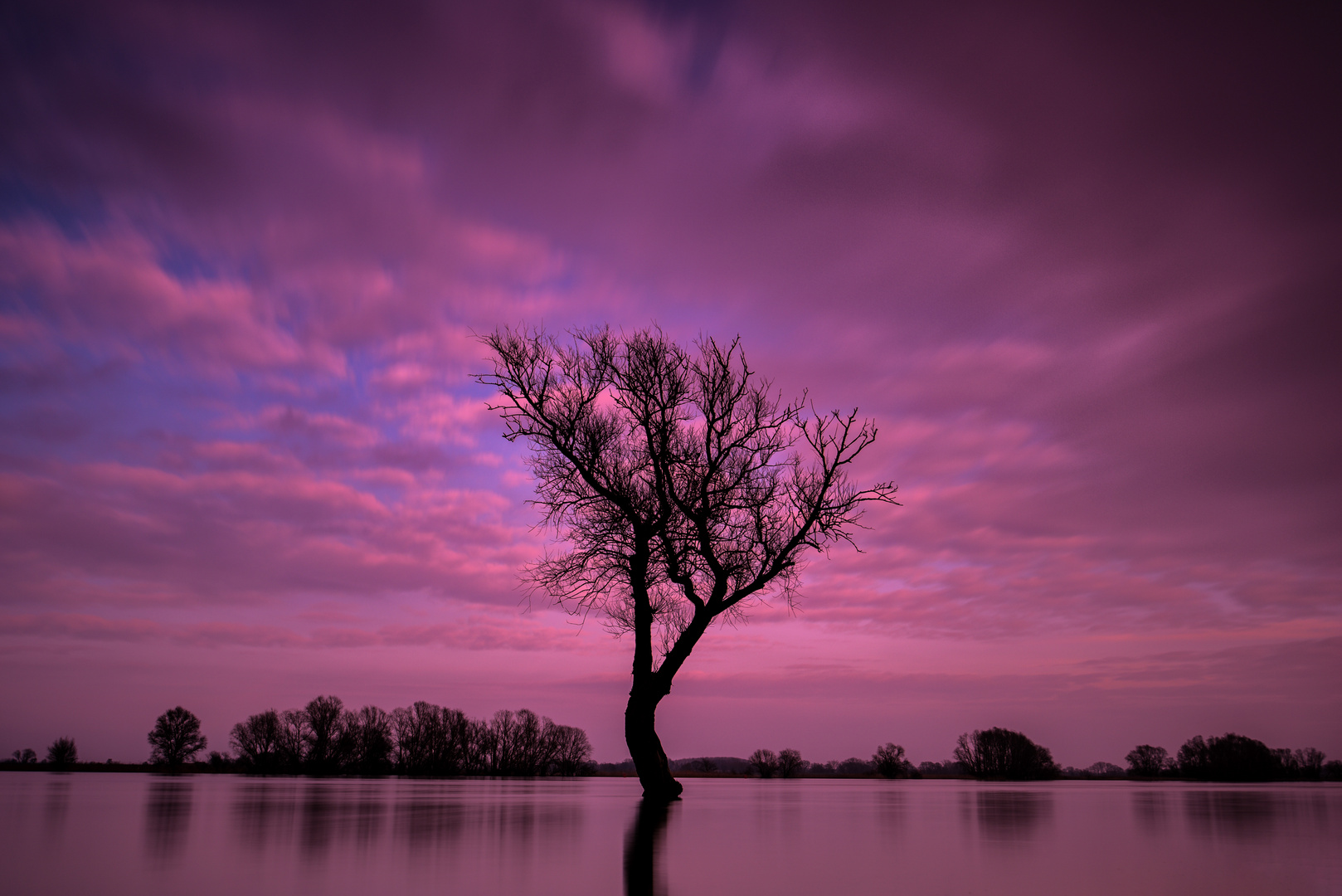 Evening by the river