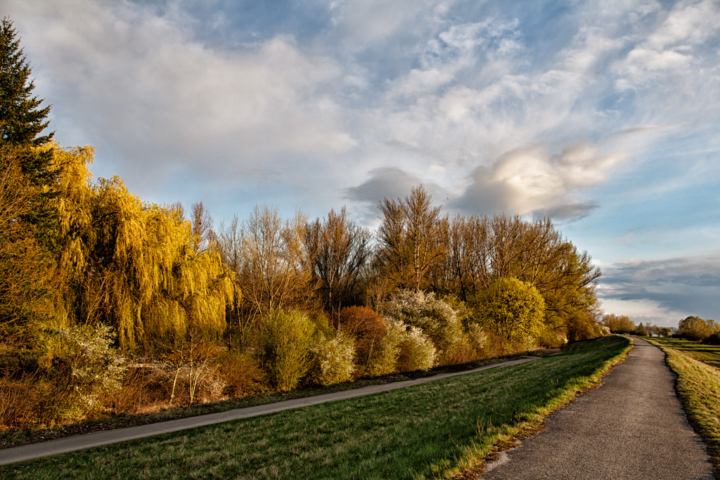 Evening colors