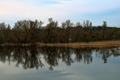 evening colors