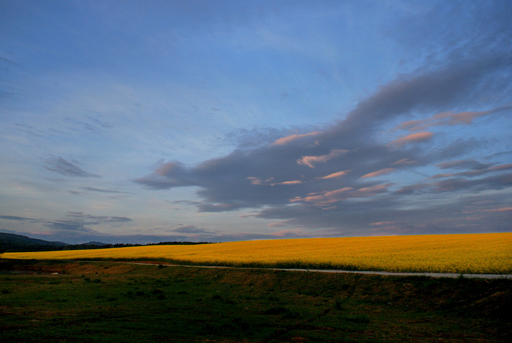 Evening Colours