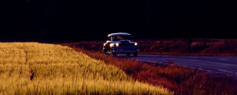 Evening Cruise