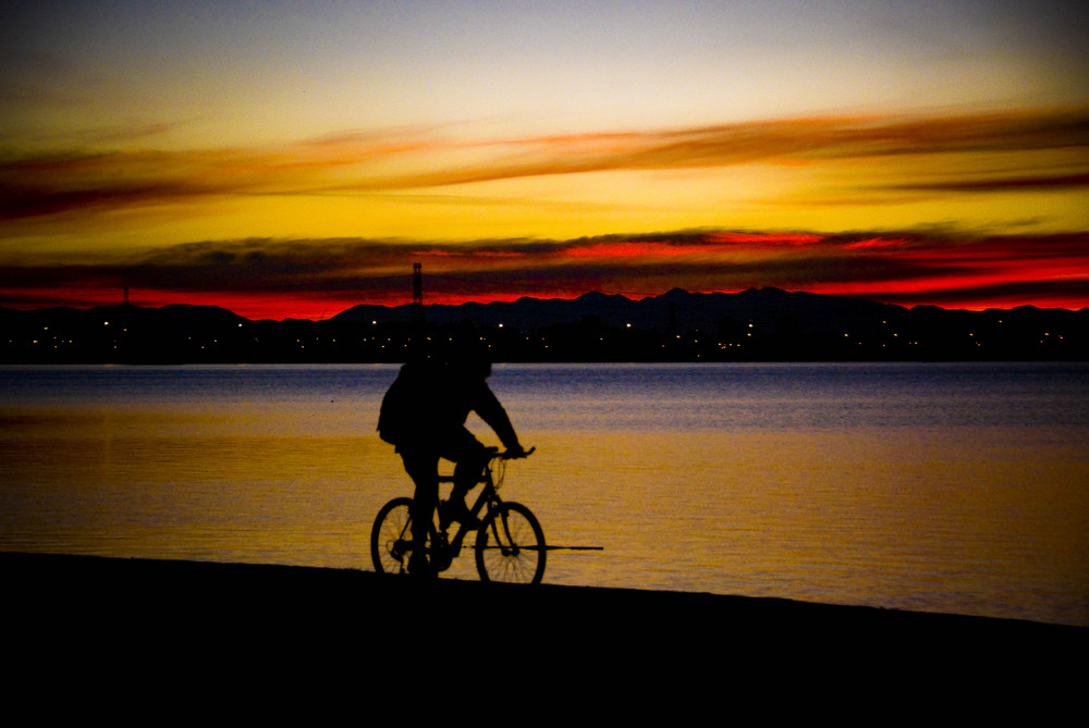 Evening Cyclist