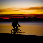 Evening Cyclist