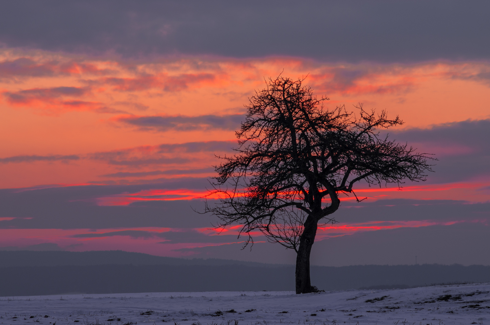 Evening Falls