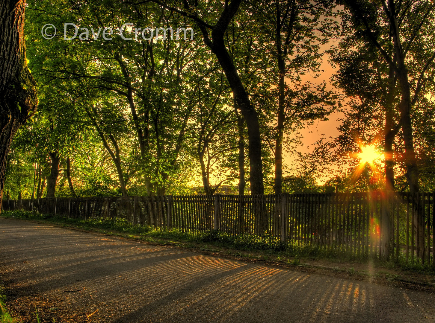 Evening Fence