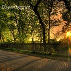 Evening Fence