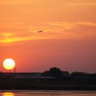 Evening flight