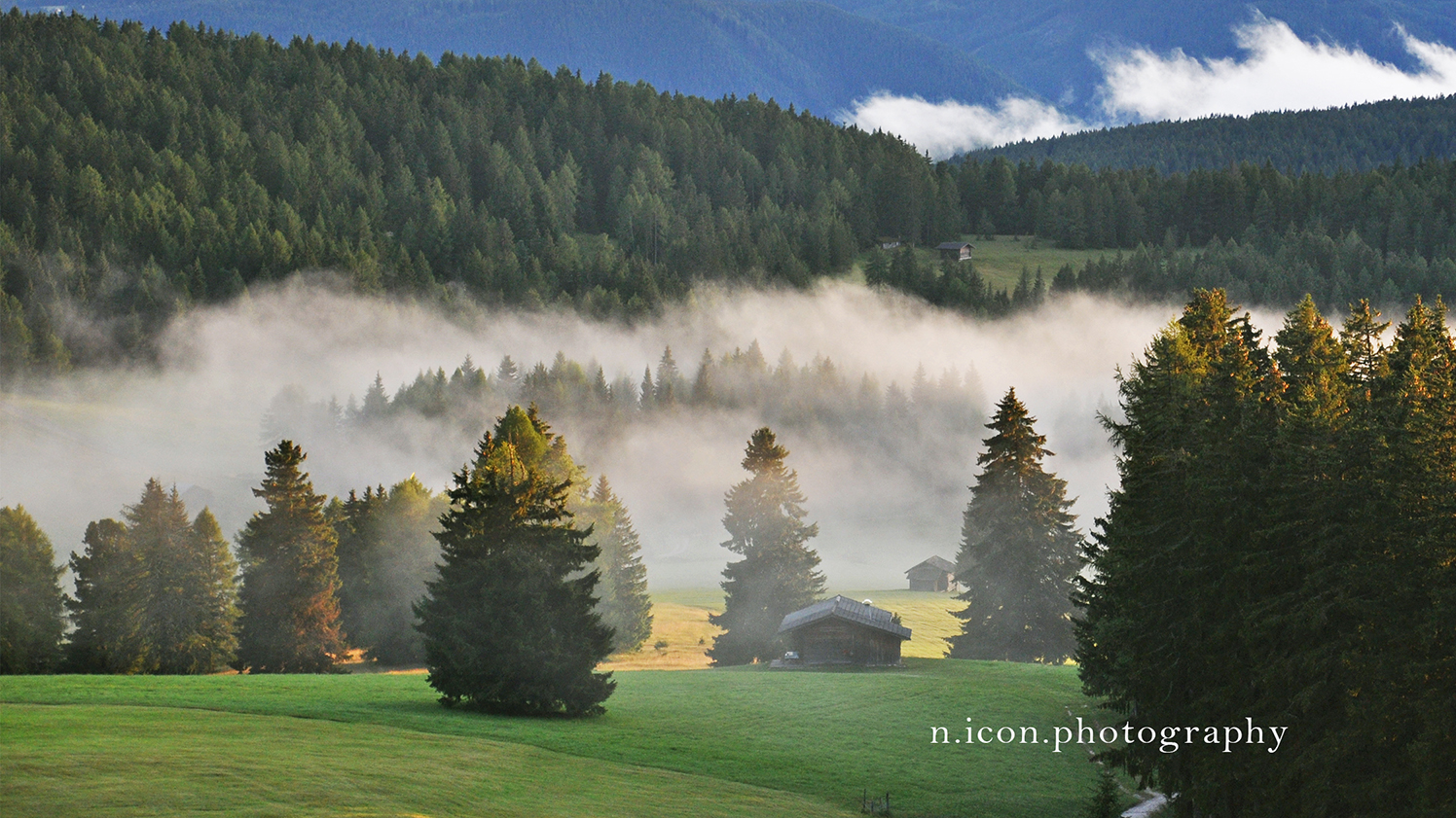 Evening Fog