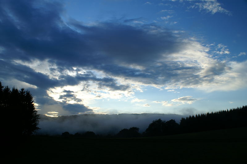 Evening Fog