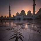 EVENING GLOW...sheikh zahid