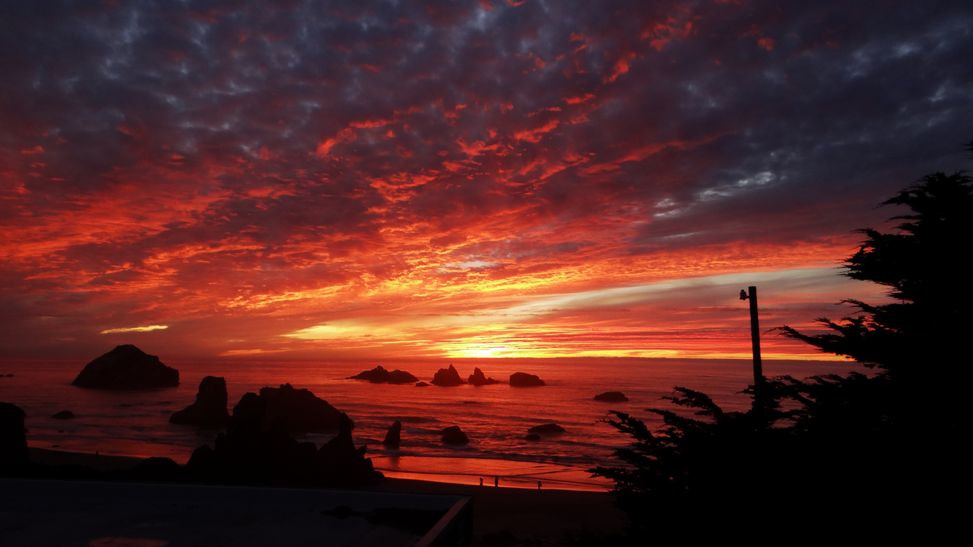 Evening in Bandon, OR