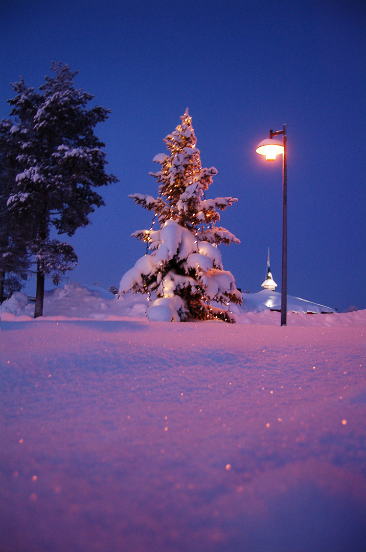 Evening in Lapland