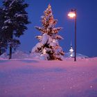 Evening in Lapland