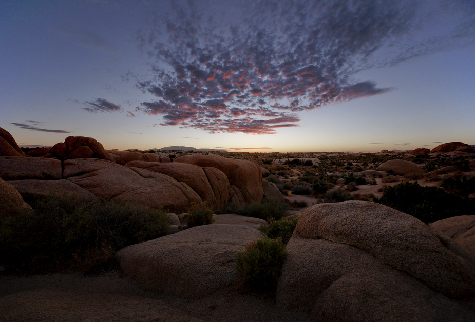 Evening in the Desert